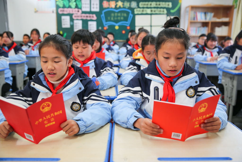 江苏如皋：国家宪法日 普法进校园